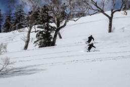 滑雪ski／雪板Snowboard教練招募